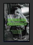Inventura předsudků - náhled