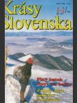Krásy Slovenska 1993 roč. 70. - náhled
