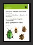Brouci čeledi Haliplidae (plavčíkovití) střední Evropy / Brouci čeledi Byrrhidae (vyklenulcovití) střední Evropy - náhled