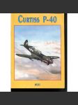 Curtiss P-40 (letadla, letectví) - náhled