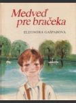 Medveď pre bračeka - náhled