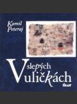 V slepých uličkách - náhled