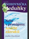 Nebe v pronájmu: andělé zázraků - náhled