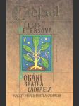 Pokání bratra Cadfaela - náhled
