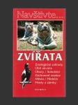 Zvířata - náhled