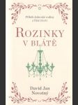 Rozinky v blátě - náhled