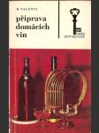 Příprava domácích vín (100 předpisů) - náhled