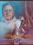 Božia pochodeň - krysztofowicz, ccg michal - náhled
