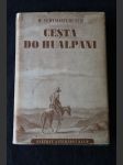 Cesta do Hualpani - náhled