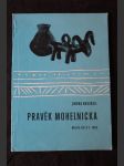 Pravěk Mohelnicka : průvodce pravěkými sbírkami muzea v Mohelnici - náhled