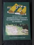 Zemědělská usedlost ve středověké vesnici na Moravě - náhled