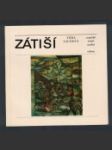 Zátiší - náhled