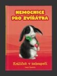 Nemocnice pro zvířátka: Králíček v nebezpečí - náhled
