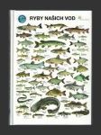 Ryby našich vod - náhled