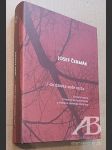 Josef Čermák "I do daleka vede cesta..." - náhled