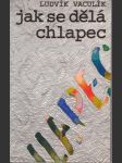 Jak  se  dělá  chlapec - náhled
