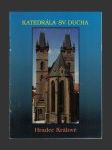 Katedrála Sv. Ducha v Hradci Králové - náhled