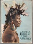 Indiáni Jižní Ameriky - náhled