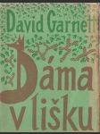Dáma v lišku - náhled