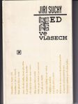 Med ve vlasech - náhled