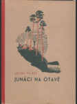 Junáci na Otavě - náhled