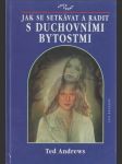 Jak se setkávat a radit s duchovními bytostmi - náhled