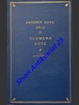 Zlomená duše - sova antonín - náhled