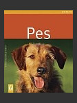 Pes - náhled