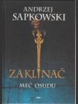 Zaklínač II. Meč osudu - náhled