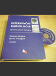 Intervenční radiologie / Miniinvazivní terapi - náhled