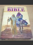 Dětská ilustrovaná bible - náhled