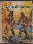Unkas Poslední Mohykán - náhled