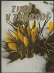 Zima v zahradě  - náhled