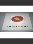 Jakub Kalousek - náhled