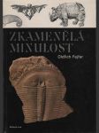 Zkamenělá minulost - náhled
