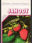 Jahody - náhled