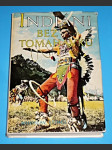 Indiáni bez tomahavků - náhled