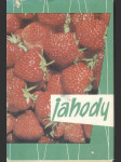 Jahody - náhled