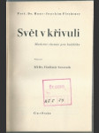 Svět v křivuli - náhled