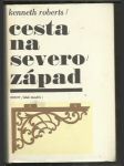Cesta na severozápad - náhled
