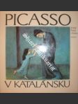 Picasso v katalánsku - palau i fabre josep - náhled
