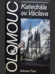 Katedrála sv. václava - pojsl miloslav - náhled
