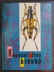 Kapesní atlas brouků - náhled