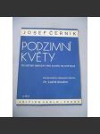 Podzimní květy - náhled