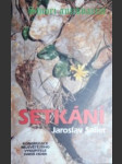 Setkání - saller jaroslav - náhled