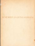 Za svým andělem - náhled