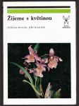 Žijeme s květinou husák štěpán, haager jiří - náhled