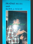 Pražské blues aneb sláva je volný - moudrý karel - náhled