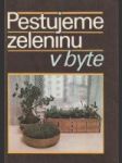 Pestujeme zeleninu v byte - náhled