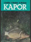Kapor - náhled